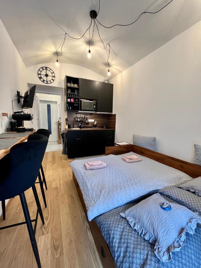 Studio V Prizemi S Kuchyni A Koupelnou Praag Buitenkant foto