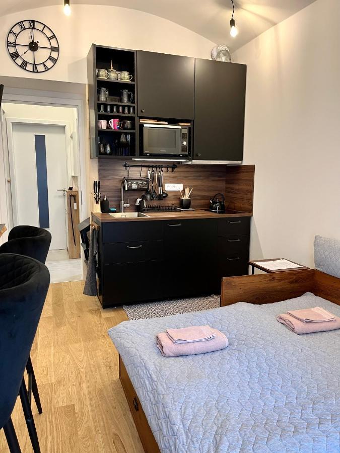 Studio V Prizemi S Kuchyni A Koupelnou Praag Buitenkant foto